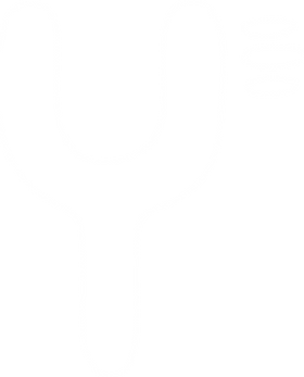 Y3